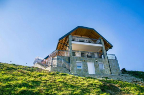 Villa Ostrovica